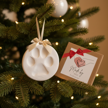 Pet Paw Print Christmas Ornament Kit | Made by Mindy®